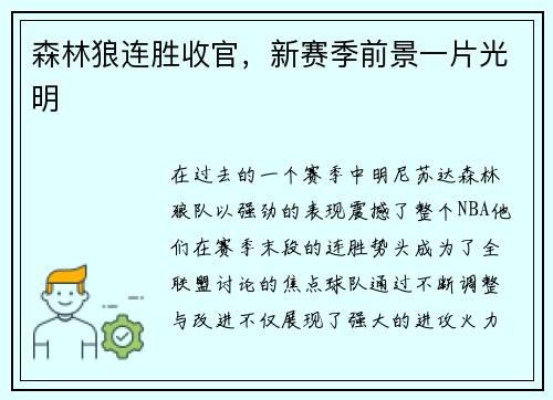 森林狼连胜收官，新赛季前景一片光明